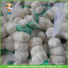 High Quality Price Fresh Natural Wholesale Garlic